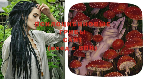 твердый Ижевск