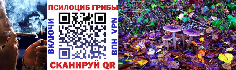 Псилоцибиновые грибы мицелий  Бавлы 